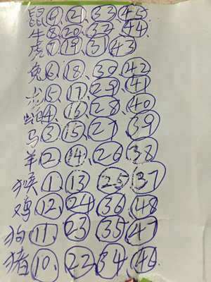 十二生肖丑肖是什么生肖(丑肖是什么生肖)