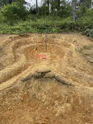 阴宅风水总论 上(阴宅风水总论)