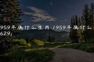 1959年属啥生肖(1959年属啥)