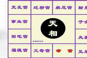 天相入子女宫是什么意思(天相入子女宫)