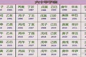 甲子日是哪一天(甲子日)
