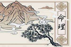 伤官坐偏印时柱是什么意思(伤官坐偏印)