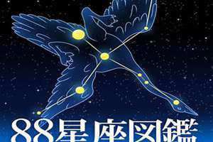 88星座名字大全(88星座)
