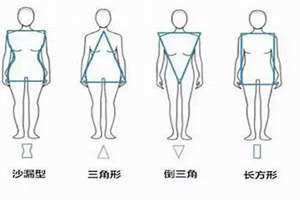 身型的分类(身型)