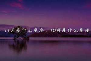 11月是什么月生辰八字 农历11月是什么月