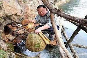 捡鱼是啥意思(捡鱼)