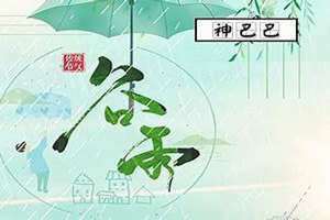谷雨代表什么生肖?(谷雨代表什么生肖)