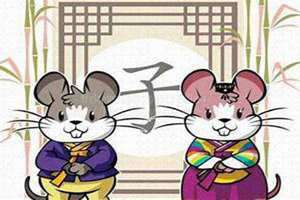 属鼠男最佳婚配属相(属鼠女最佳婚配属相)