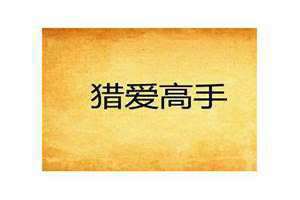 猎爱高手 下载 猎爱高手你让我快乐中文歌词翻译