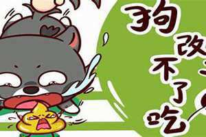狗改不了吃屎类似的话发朋友圈 狗改不了吃屎是什么意思?