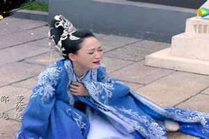 陈婉仪个人简介(陈婉仪)