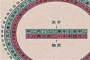 八字金舆代表什么 八字金舆怎么查