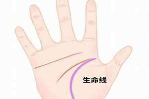 哪个是生命线感情线和事业线 哪个是生命线哪个图
