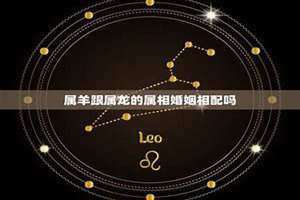羊和龙相配吗?(羊跟龙相配吗)