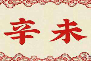八字辛未是什么意思 命宫辛未是什么意思