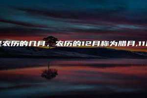 十二个月的雅称大全(端月是几月)