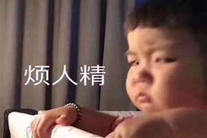 烦人精用英语怎么说(烦人精)