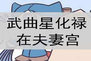 武曲入夫妻宫女命 武曲入夫妻宫男命
