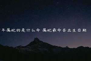 2001年什么命五行属什么命(2001年什么命)