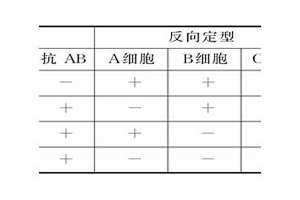 abo血型是什么意思(ABO血型)