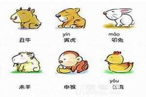 2013年属什么生肖五行属什么命 2013年属什么生肖蛇是什么命