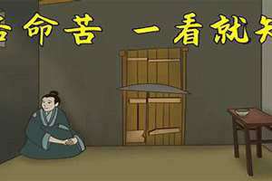 命苦怎么回复对方(命苦)