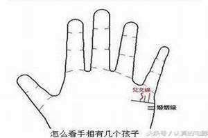 正确的子女线图解准吗(正确的子女线图解)