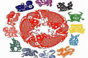 五月代表什么生肖动物(五月代表什么生肖)