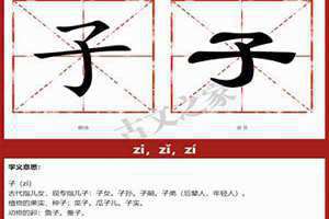 子字的拼音怎么读(子字的拼音)