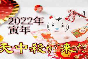寅卯年是2024年吗 寅卯年是哪一年属什么