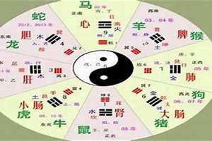 巳五行属什么 卯五行属什么