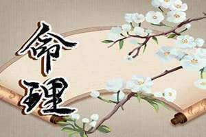 甲午日柱女命