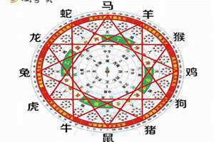 寅酉关系好和坏(寅酉关系)