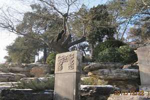 北京煤山歪脖子树 崇祯煤山歪脖子树