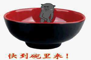 发骚就到碗里来