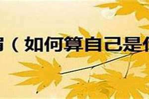 如何测自己是什么命 免费测自己是什么命