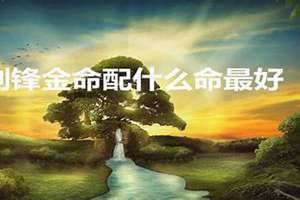 土命和什么命最配(金命和什么命最配)