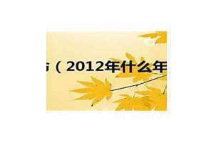 2012年什么命五行属什么(2012年什么命)