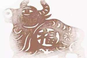 22岁属什么生肖2024 22岁属什么生肖 今年多大了