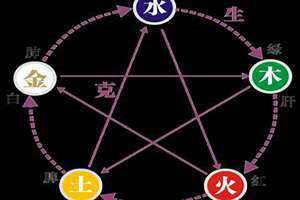五行中木代表什么意思(五行中金代表什么)
