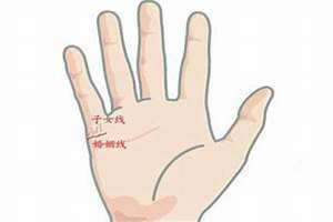 子女线怎么看(子女线)