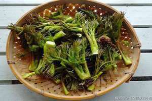 吃野菜中毒的症状(吃野菜)