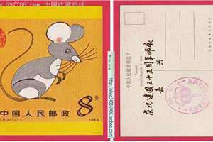 1984年是什么年天干地支(1984年是什么年)