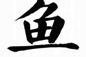 鱼字旁一个周 鱼字旁加旨是什么字