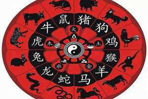 1990年属什么生肖 今年多大了(1990年属什么)
