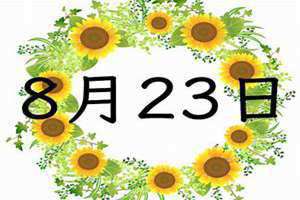 8月23日是处女座还是狮子座(8月23日)