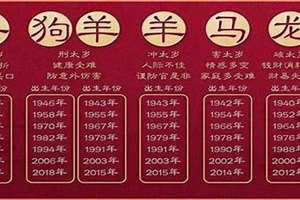 85年什么生肖