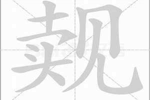 觌见怎么读音(卖见)