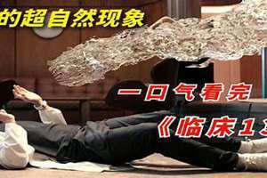 卜算子 卜算子咏梅毛译古诗原文