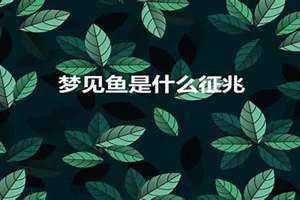 男人梦见鱼是什么征兆周公解梦 男人梦见鱼是什么征兆用网捞一个看看就扔了